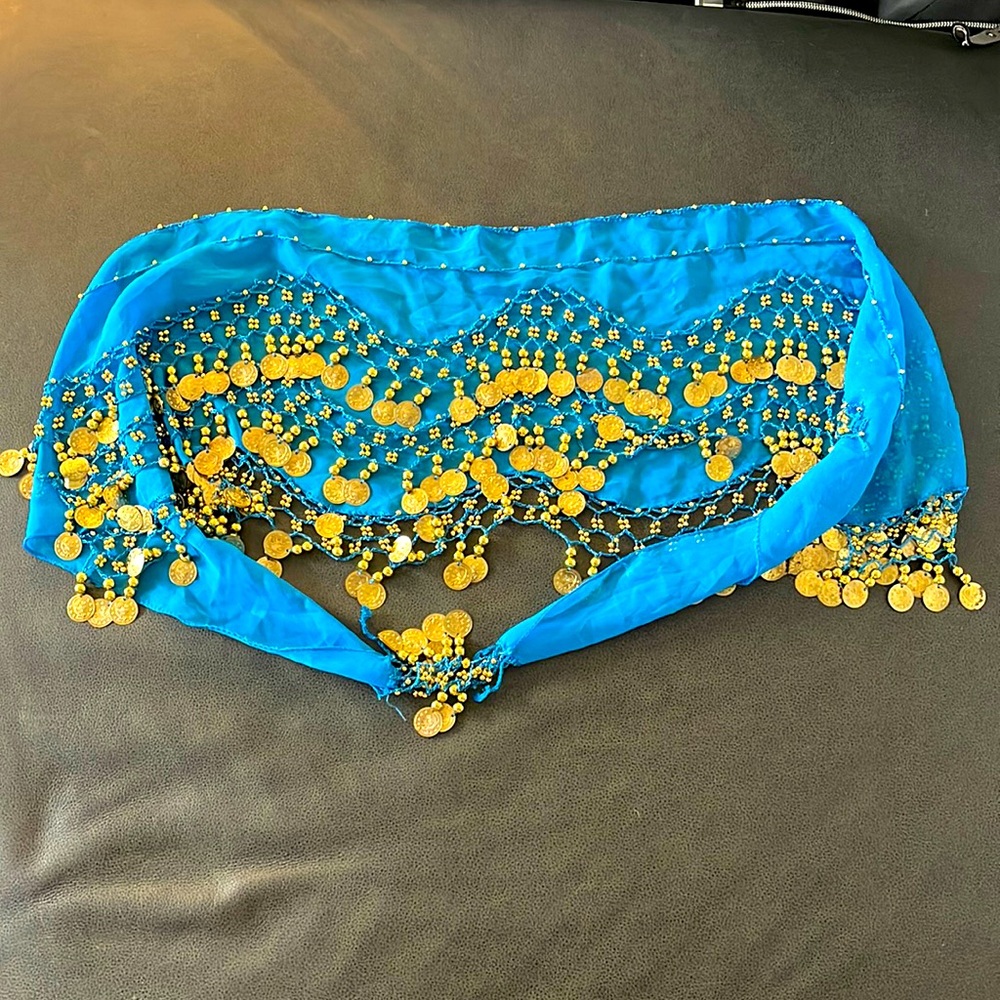 Belly dancing skirt - great for Halloween!